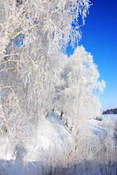 Similar image 499653