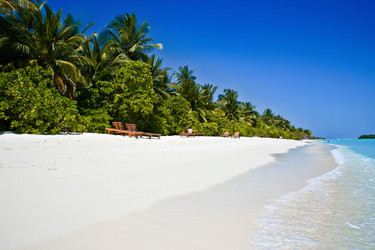 Similar image 499669