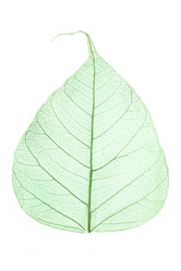 Similar image 499680