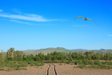 Similar image 499681