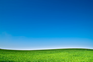 Similar image 499722