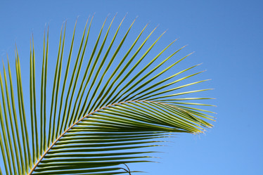 Similar image 499731