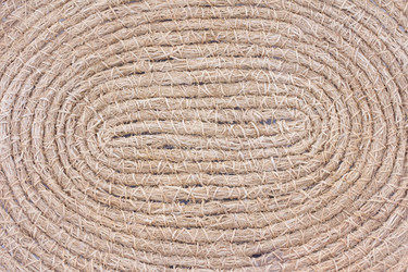 Similar image 499776