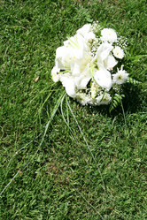 Similar image 499795