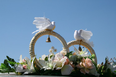 Similar image 499840