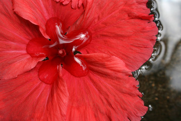 Similar image 499864