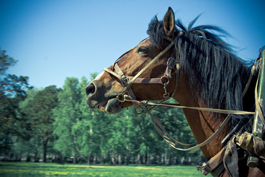 Similar image 499887