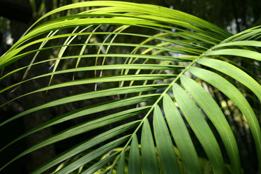 Similar image 499895