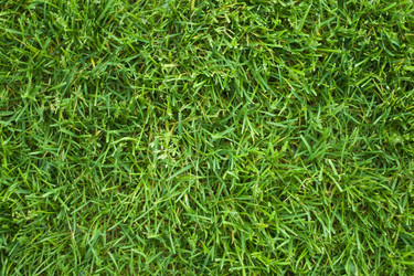 Similar image 499898