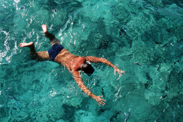 Similar image 499911