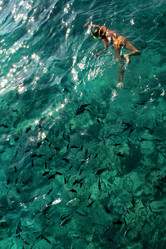 Similar image 499913