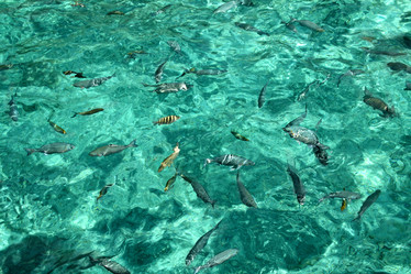 Similar image 499918