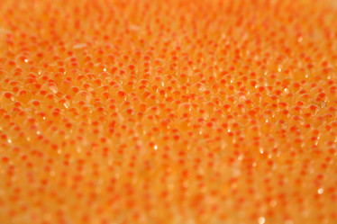 Similar image 499919