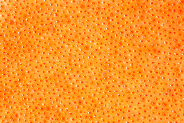 Similar image 499921