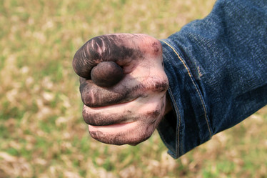 Similar image 499925