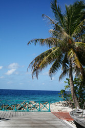 Similar image 499929