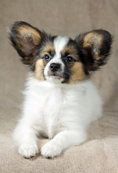 Similar image 499930