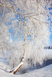 Similar image 499938