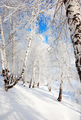 Similar image 499951