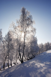 Similar image 499957