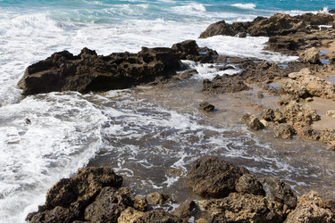 Similar image 499960