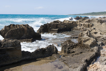 Similar image 499961