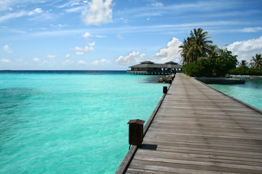 Similar image 499962