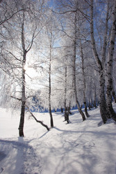 Similar image 499964