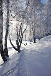 Similar image 499967