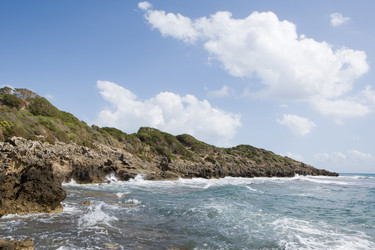 Similar image 499968