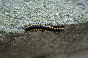 Similar image 499969