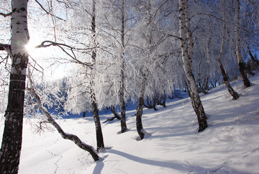 Similar image 499970