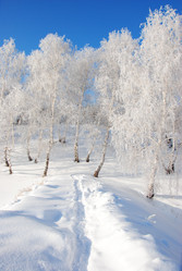 Similar image 499972