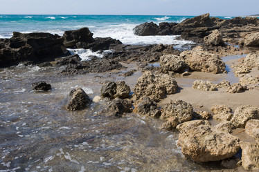 Similar image 499976