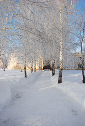 Similar image 499981