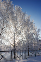 Similar image 499993