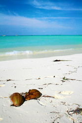 Similar image 499996