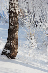 Similar image 499995