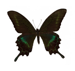 Similar image 499997