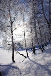 Similar image 500003