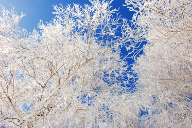 Similar image 500015