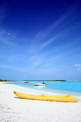 Similar image 500019