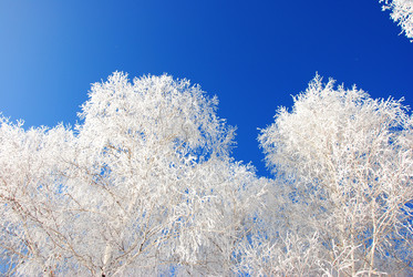 Similar image 500021