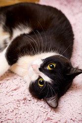 Similar image 500023