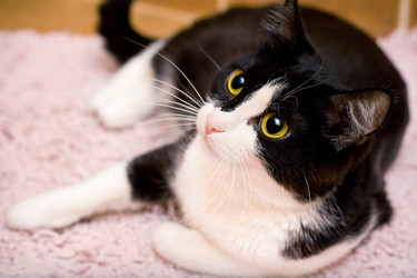 Similar image 500024