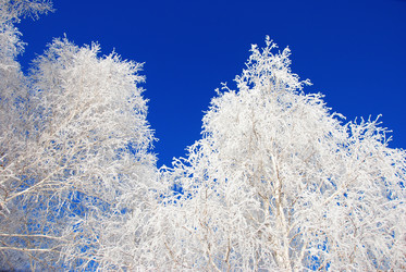 Similar image 500027