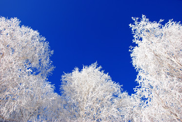 Similar image 500033