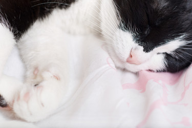 Similar image 500034