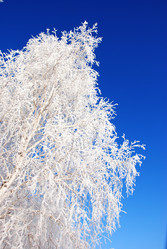 Similar image 500035