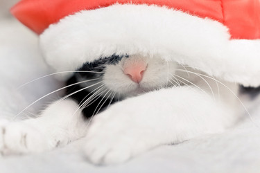 Similar image 500045